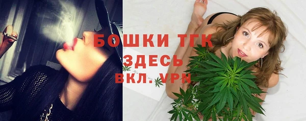 ГАЛЛЮЦИНОГЕННЫЕ ГРИБЫ Михайлов