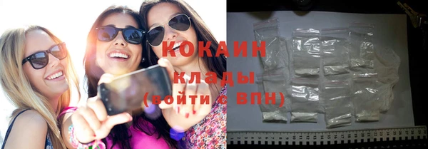 ГАЛЛЮЦИНОГЕННЫЕ ГРИБЫ Михайлов