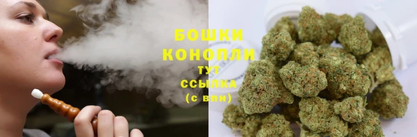 твердый Пересвет