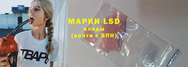 амф Пестово