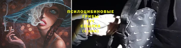 СК Михайловка