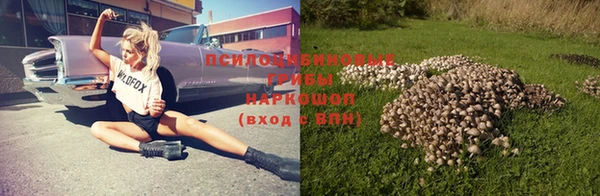 соль курить ск Надым