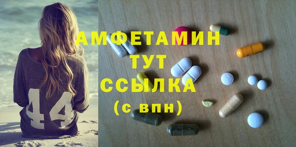 ГАЛЛЮЦИНОГЕННЫЕ ГРИБЫ Михайлов