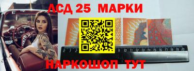 шишки Можга