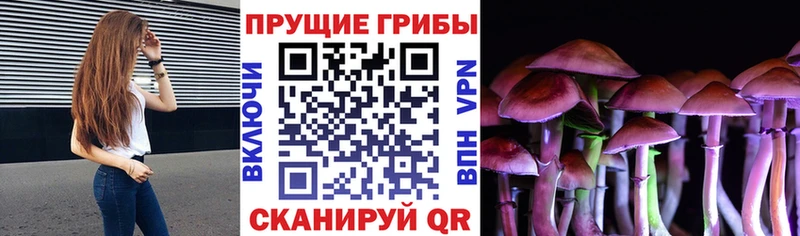 Галлюциногенные грибы мухоморы Рассказово