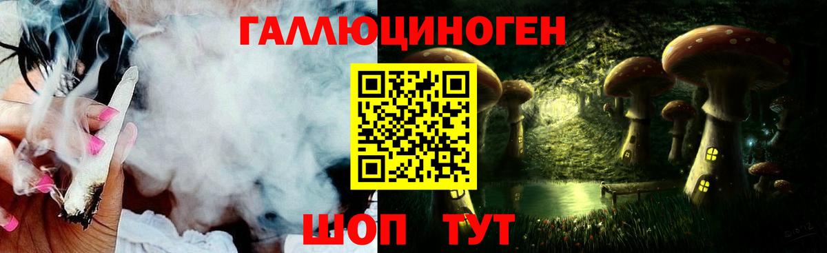 Бошки Шишки Рассказово